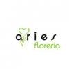 Foto de Floreria Aries-floreria servicio a domicilio