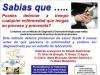 Foto de Organizacion bienestar integral