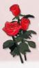 Foto de Floristerias de Madrid