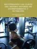 Foto de Entrenamiento y nutricin