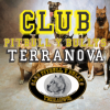 Foto de Club Pitbull y Bullys Terranova