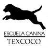 Foto de Escuela Canina Supercan