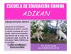 Foto de Adiestramiento y pension canina adikan