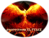Foto de Abastecedora el fenix