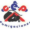 Foto de Confianza en el Exterminio de Plagas CEP