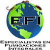 Foto de GRUPO EFI