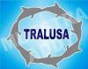 Foto de Tralusa sa de cv