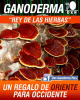 Foto de Proyecto Verde Esperanza