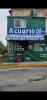 foto de Pinturas acuario